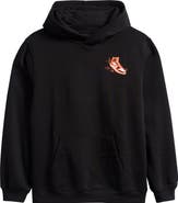 Jordan Kids' Air Jordan Has Landed Fleece Graphic Hoodie