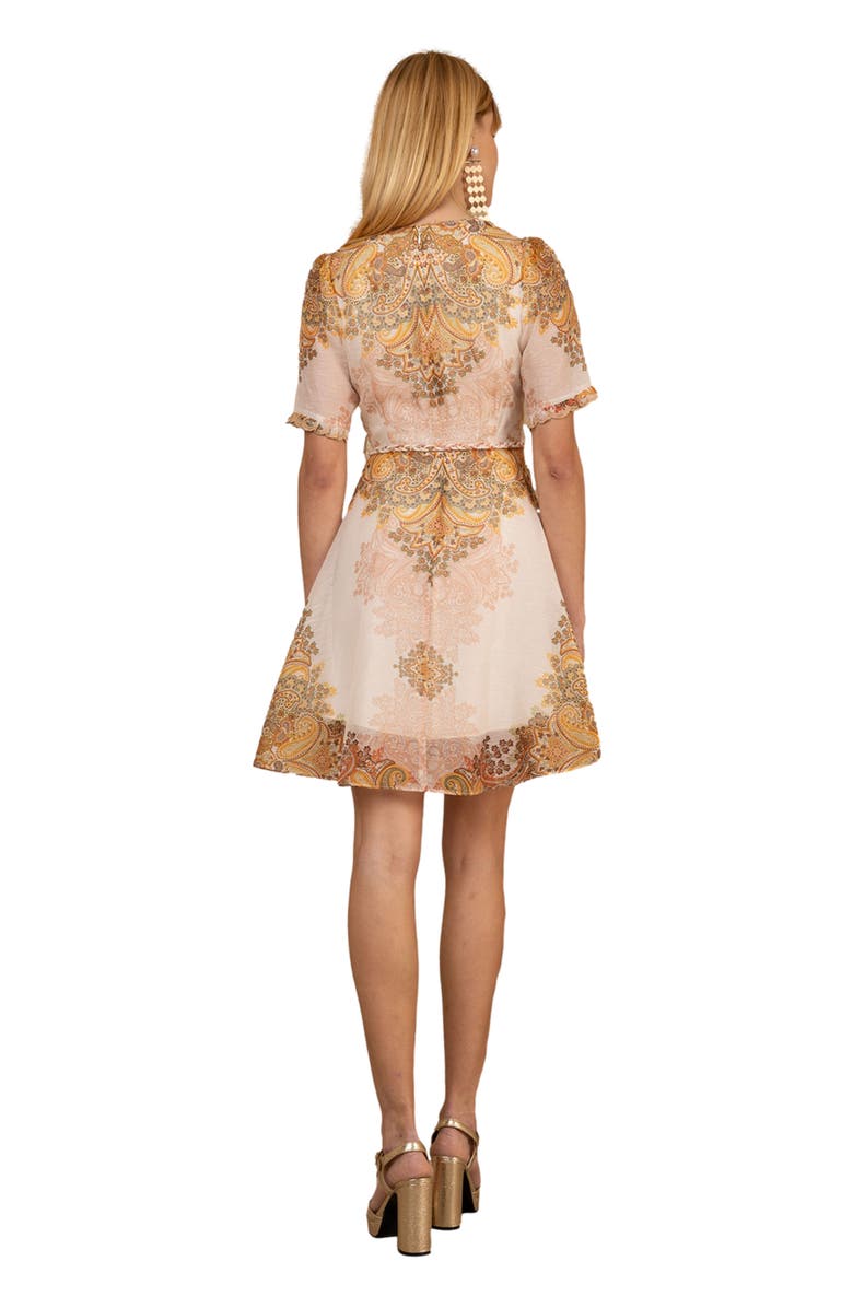 Hale Bob Micah Organza Dress, Alternate, color, Ivory