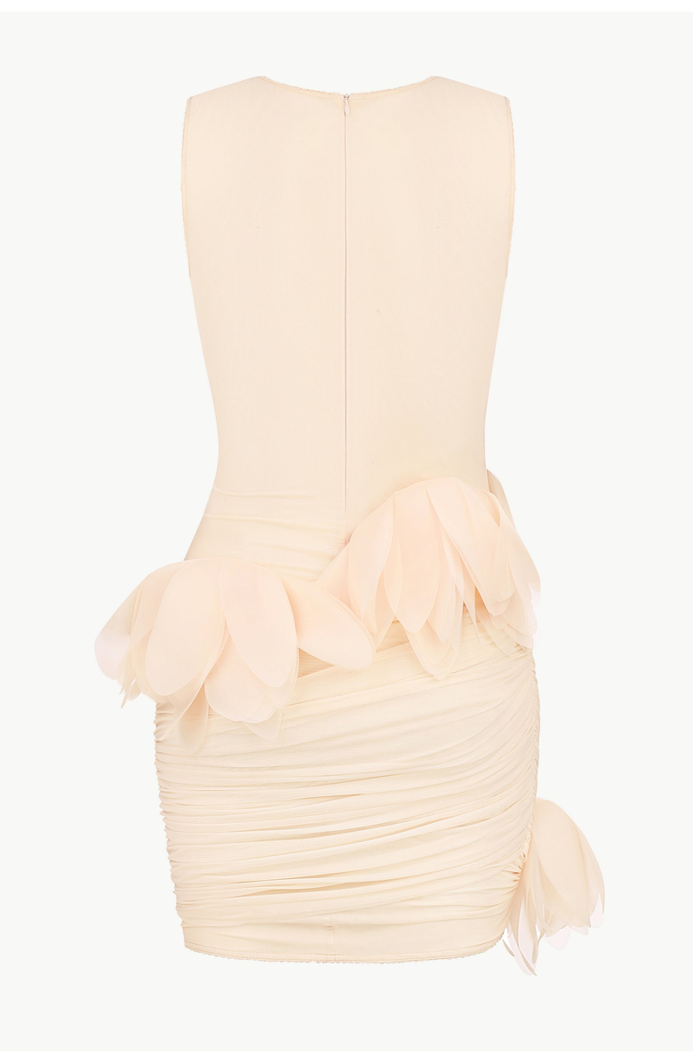 Malva Florea Draped Mini Dress With Oversized Florals, Alternate, color, Light Apricot