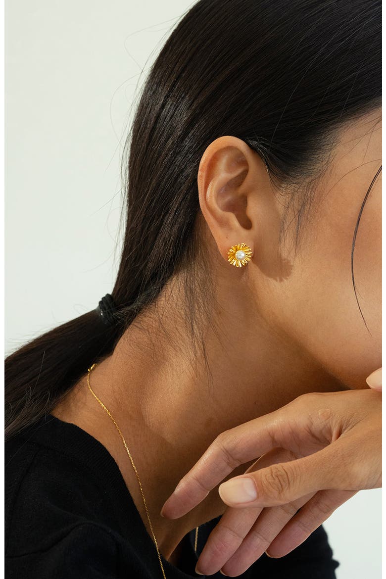 Sterling Silver 18k Gold Plated Flora Pearl Necklace & Earring Set Dainty, Alternate, color, Gold
