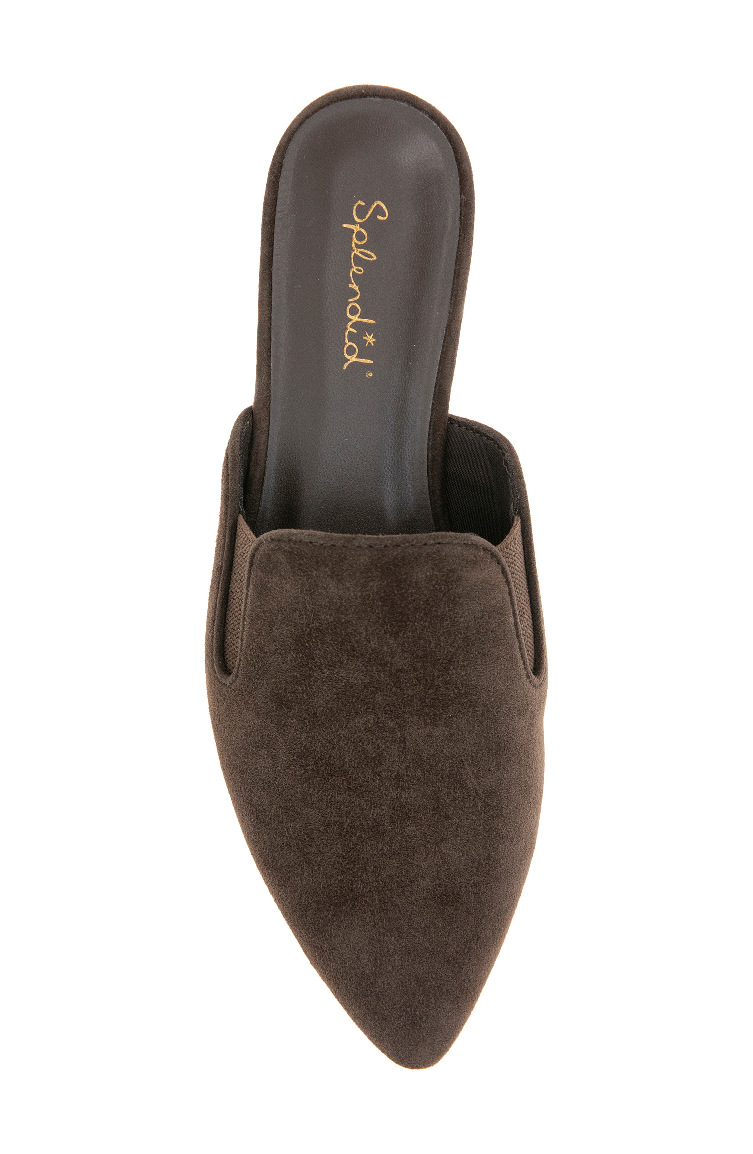 Liza Pointed Toe Mule, Alternate, color, SPICE