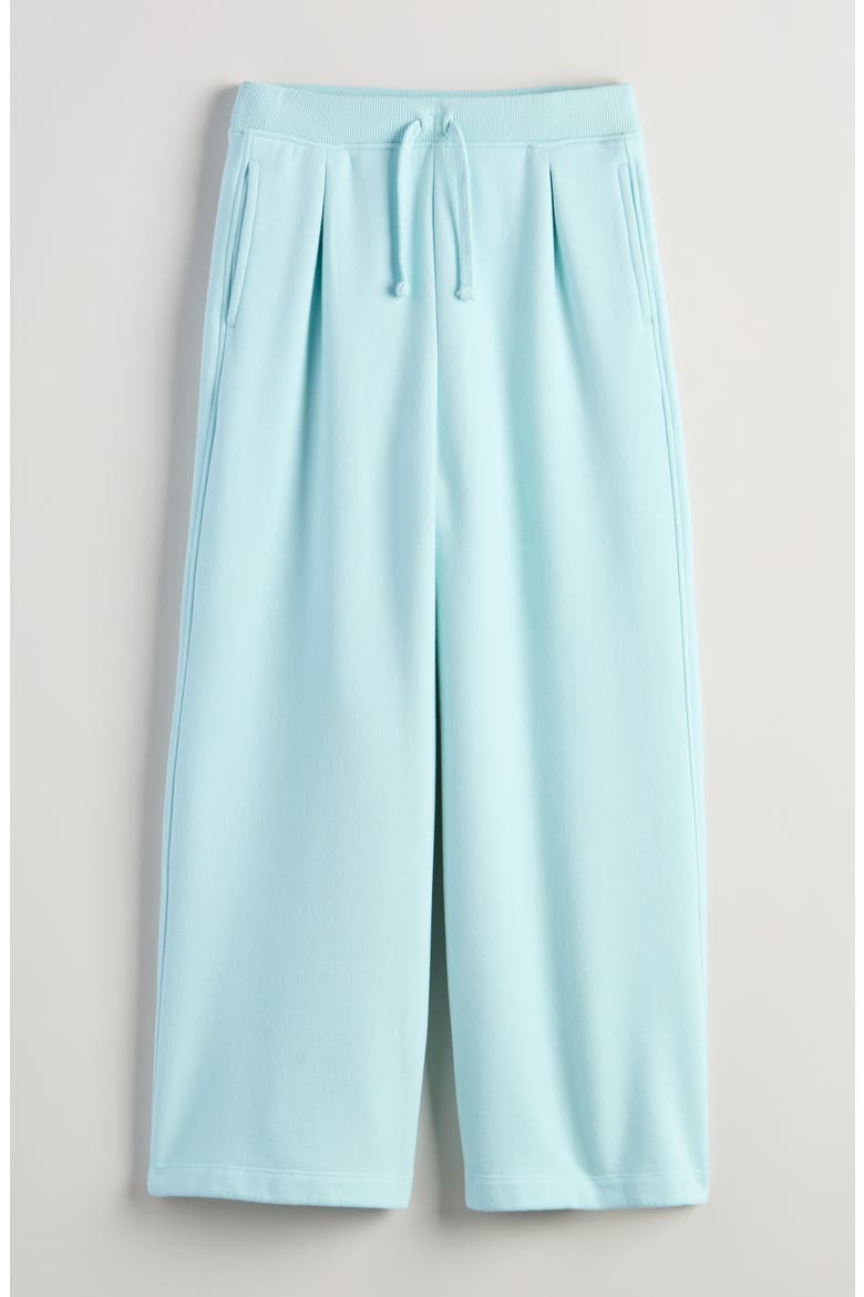Cloud Soft Pleated Wide Leg Knit Pants, Main, color, BLUE GLOW