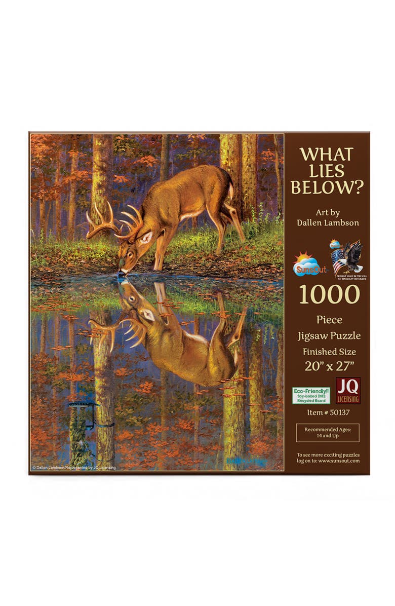 Sunsout What Lies Below? 1000 piece Jigsaw Puzzle for Adults, Alternate, color, Multicolor