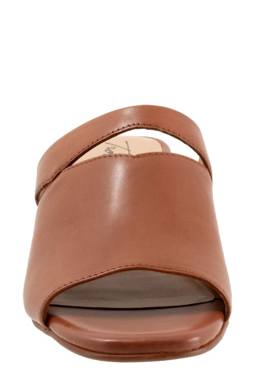 Trotters Ninette Kitten Heel Slide Sandal In Luggage