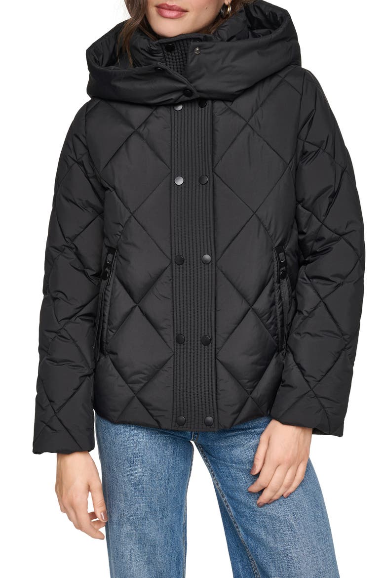 Briggs Hooded Puffer Jacket, Main, color, BLACK