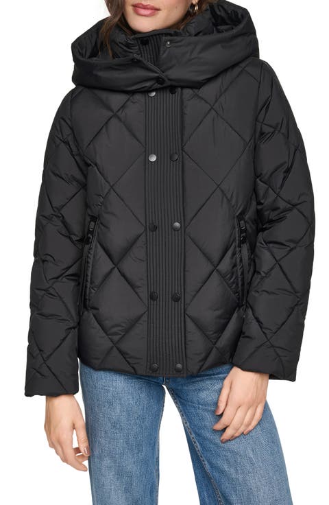 Briggs Hooded Puffer Jacket