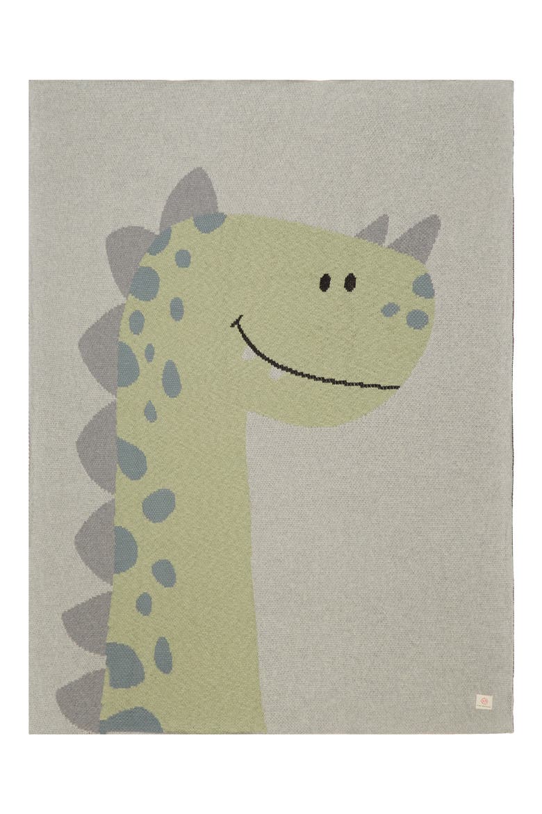 Baby Dinosaur Organic Cotton Baby Blanket, Main, color, GREEN