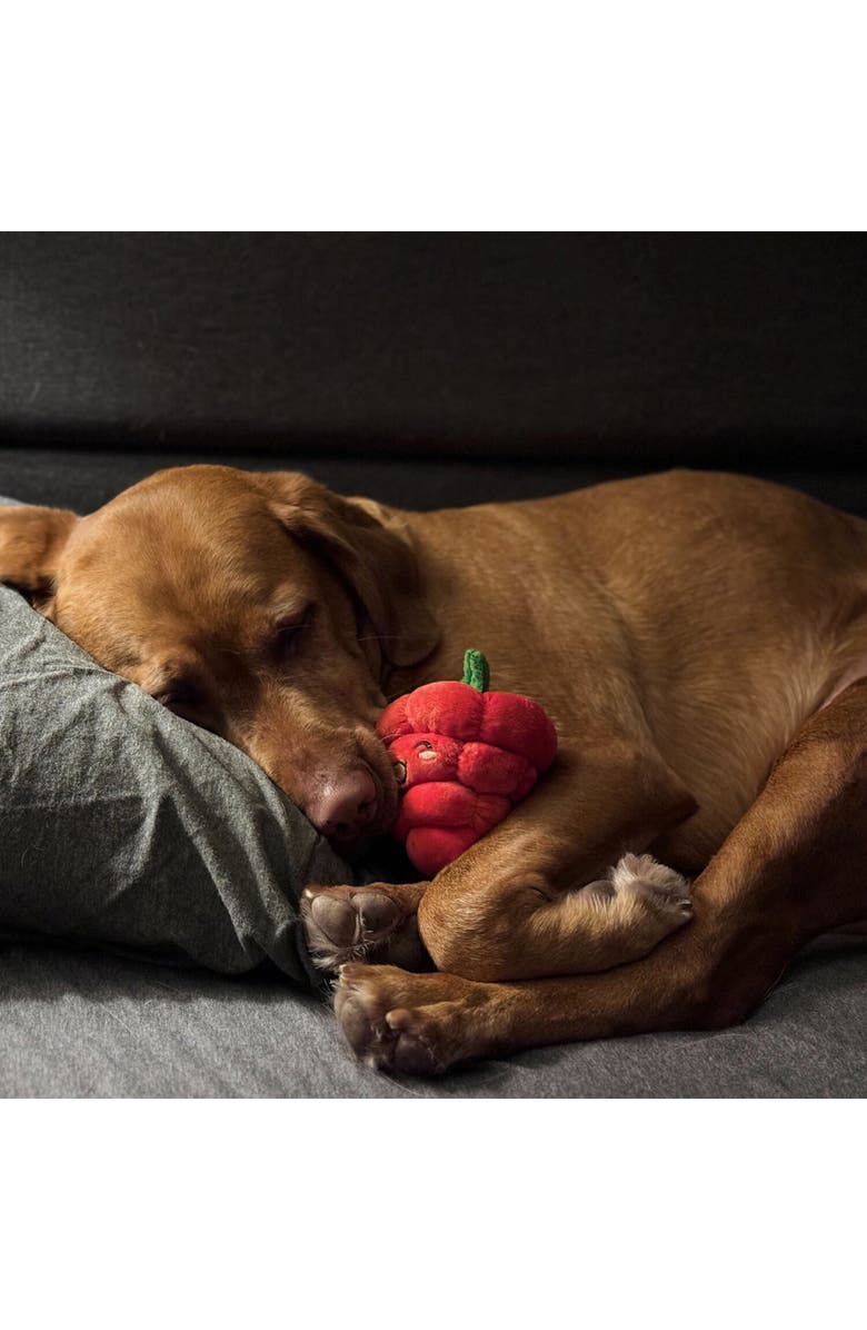 SnugArooz 2 Pack Plush Dog Toys, Alternate, color, Multicolored