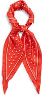 Echo Dot Silk Diamond Scarf