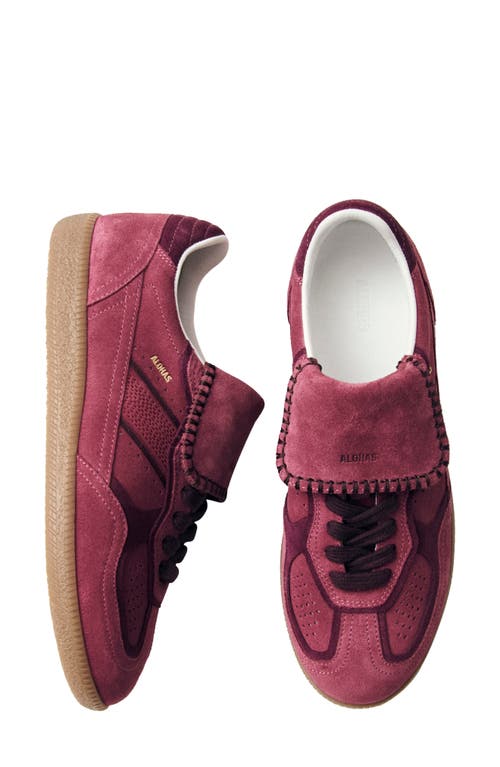 Alohas Tb.490 Club Suede Raspberry Leather Sneakers Raspberry In Pink