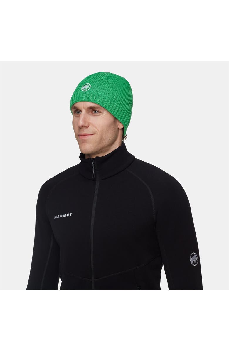 Mammut Sublime Beanie, Alternate, color, Pinea