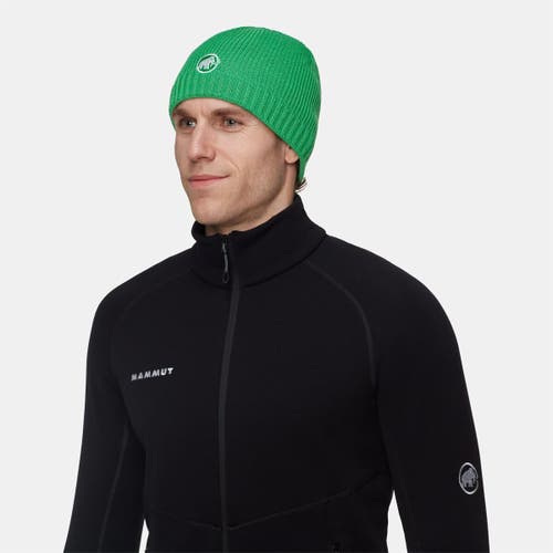 Mammut Sublime Beanie In Green