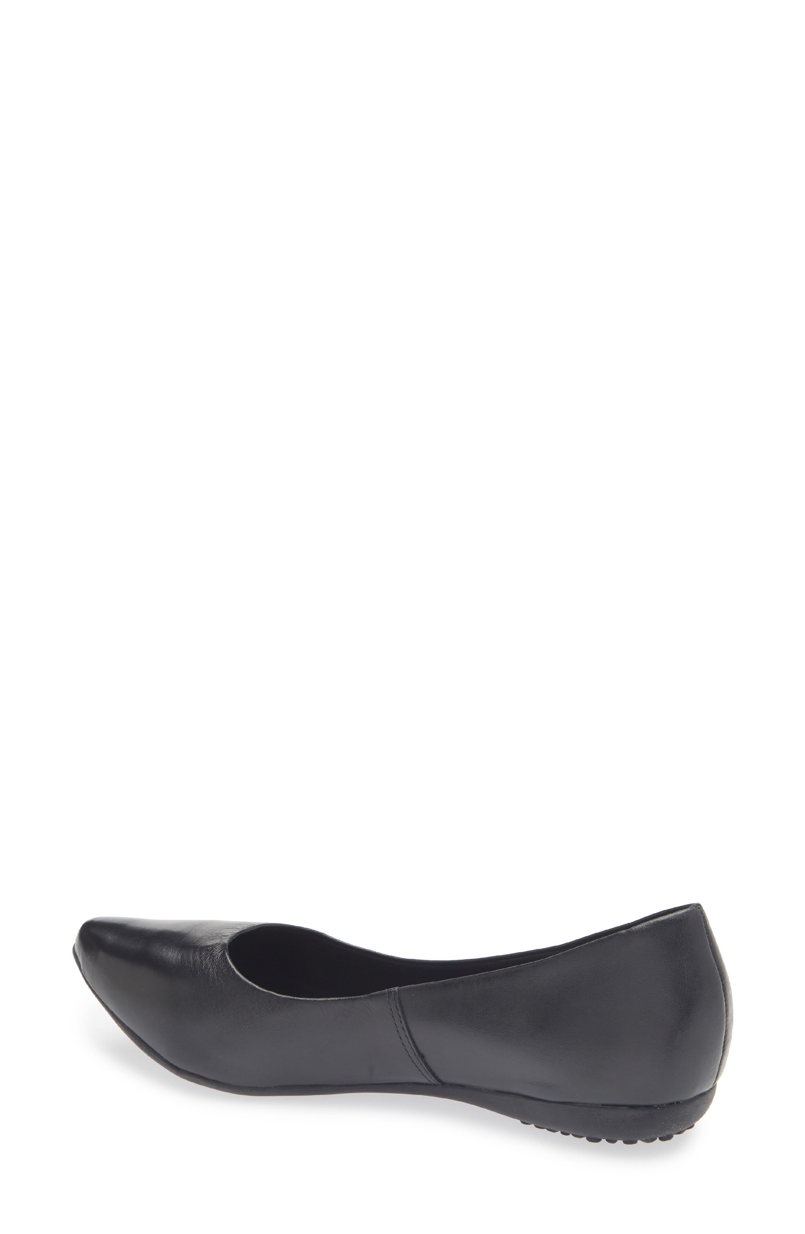 Bottero Botdogs Ballet Flat, Alternate, color, Preto