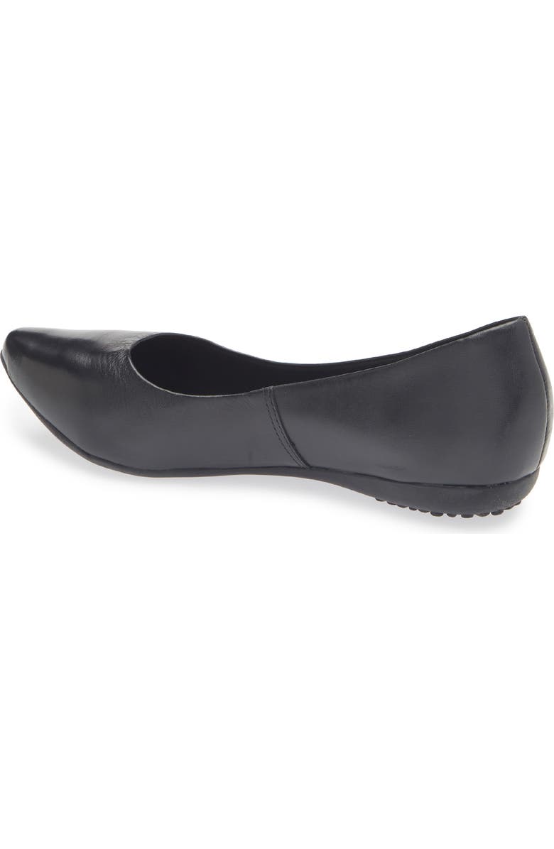Bottero Botdogs Ballet Flat, Alternate, color, Preto