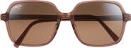 Maui Jim Little Bell 55mm Polarized Square Sunglasses