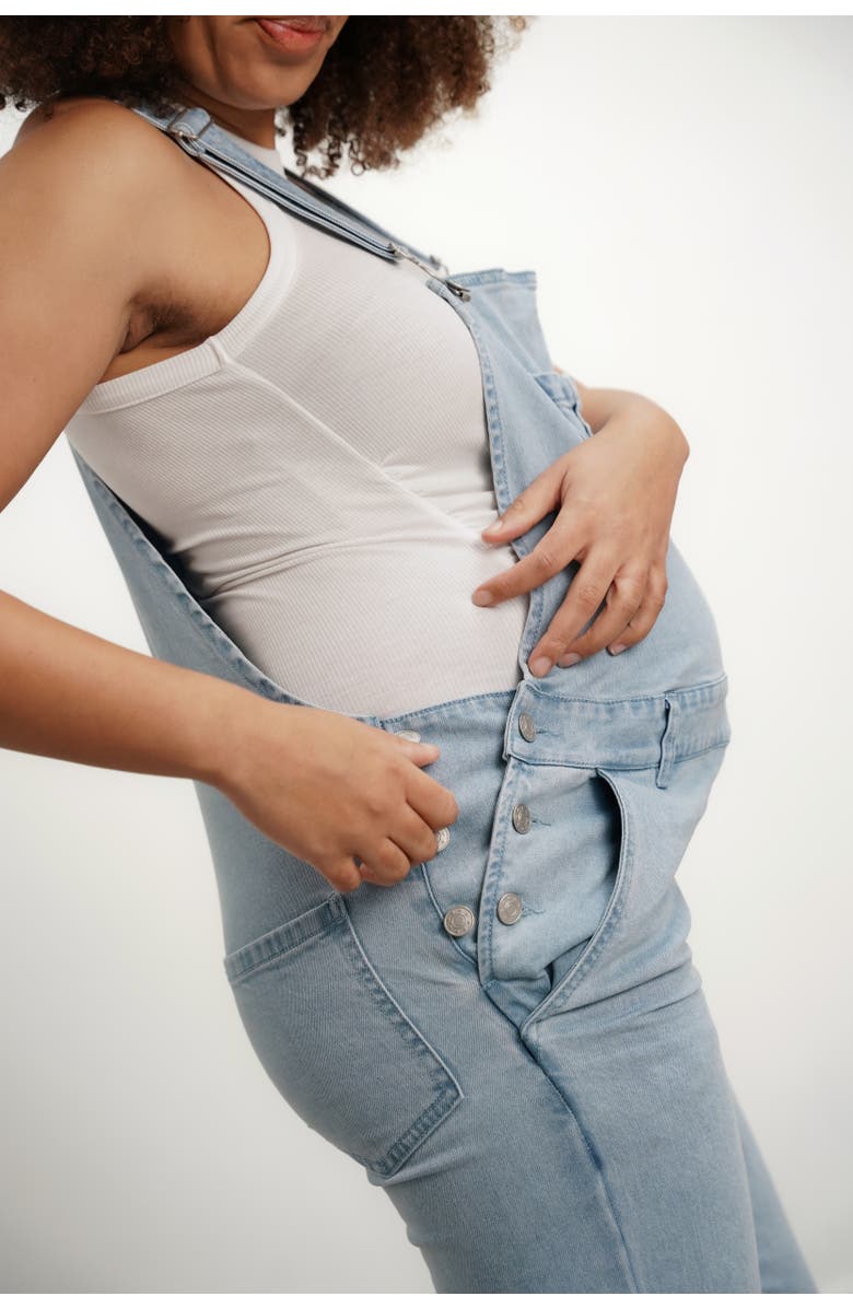 Nom Maternity Mae Maternity & Nursing Overalls, Alternate, color, 