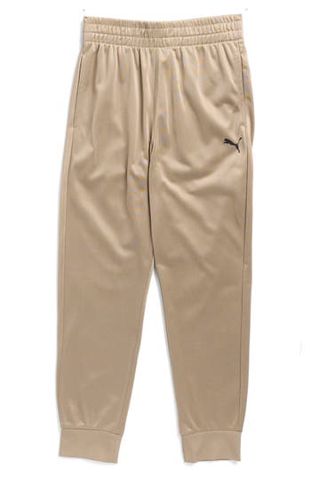 Puma Kids' Foundations Essentials Tricot Joggers In Brown