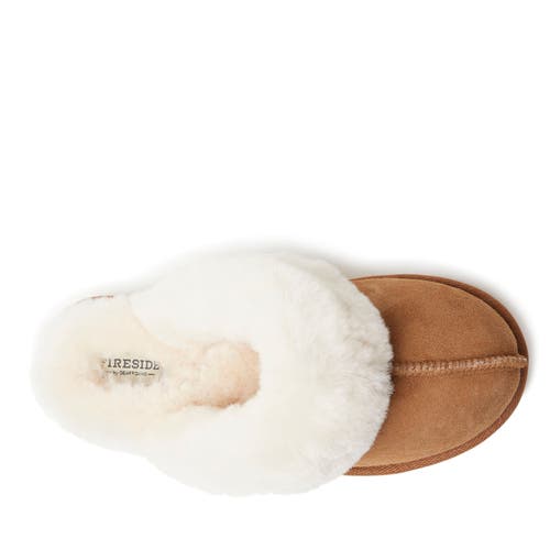 Dearfoams Fireside Melton Genuine Shearling Platform Scuff Slipper In Nude