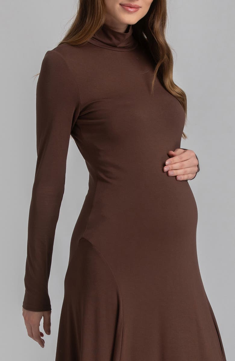 PIETRO BRUNELLI MATERNITY Long Sleeve Jersey Maxi Maternity Dress, Alternate, color, Medium Brown