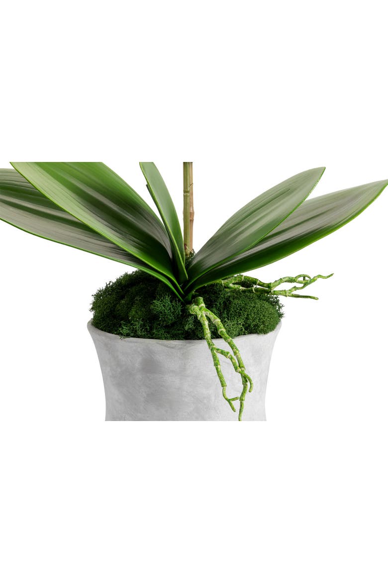 Clementine RealTouch Orchid Arrangement, Alternate, color, Periwinkle