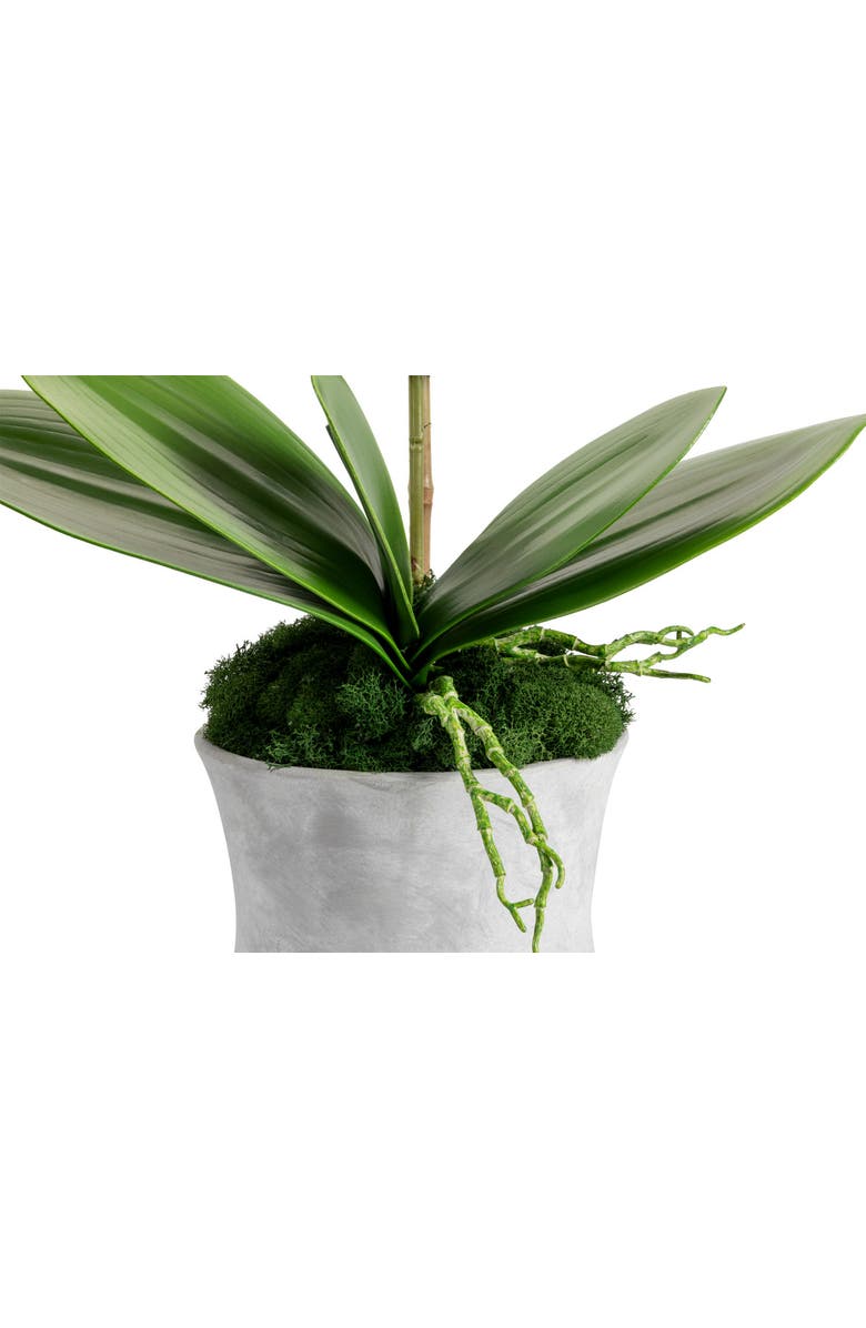 CocoBella Clementine RealTouch Orchid Arrangement, Alternate, color, Periwinkle