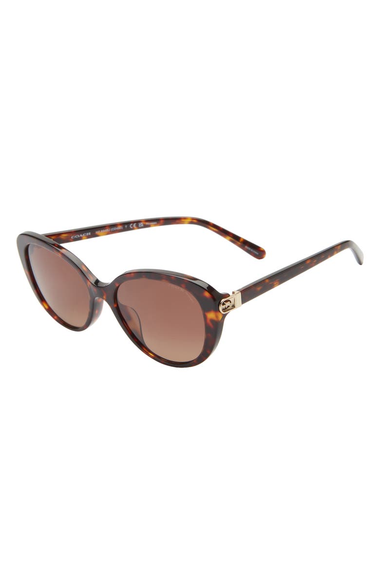 COACH 56mm Cat Eye Sunglasses, Alternate, color, Dk Tort