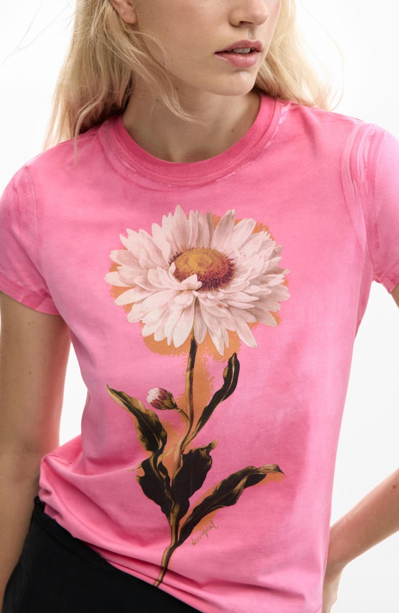 Desigual Floral Cotton Graphic T-Shirt, Alternate, color, Pink