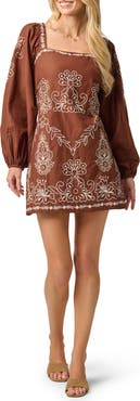 Adrianna Papell Embroidered Long Sleeve Minidress