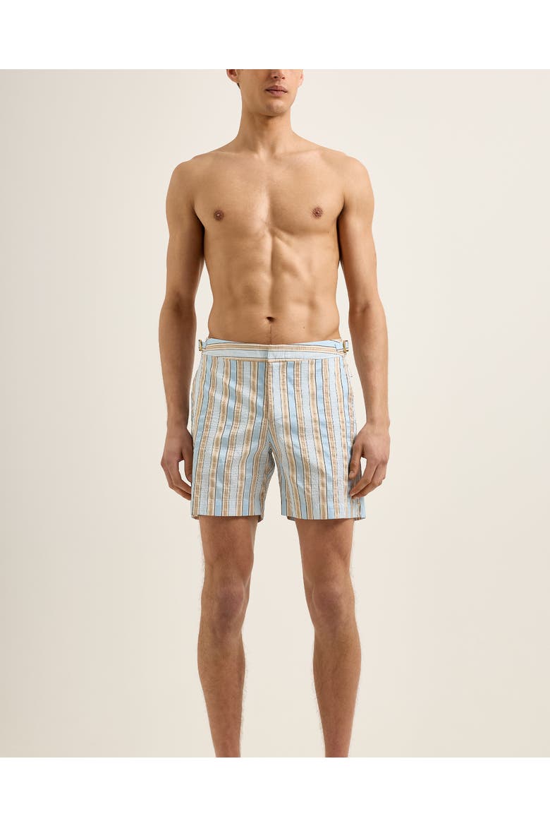 Bulldog Mid-Length Swim Shorts, Alternate, color, BLUE/BISCUIT STRIPE