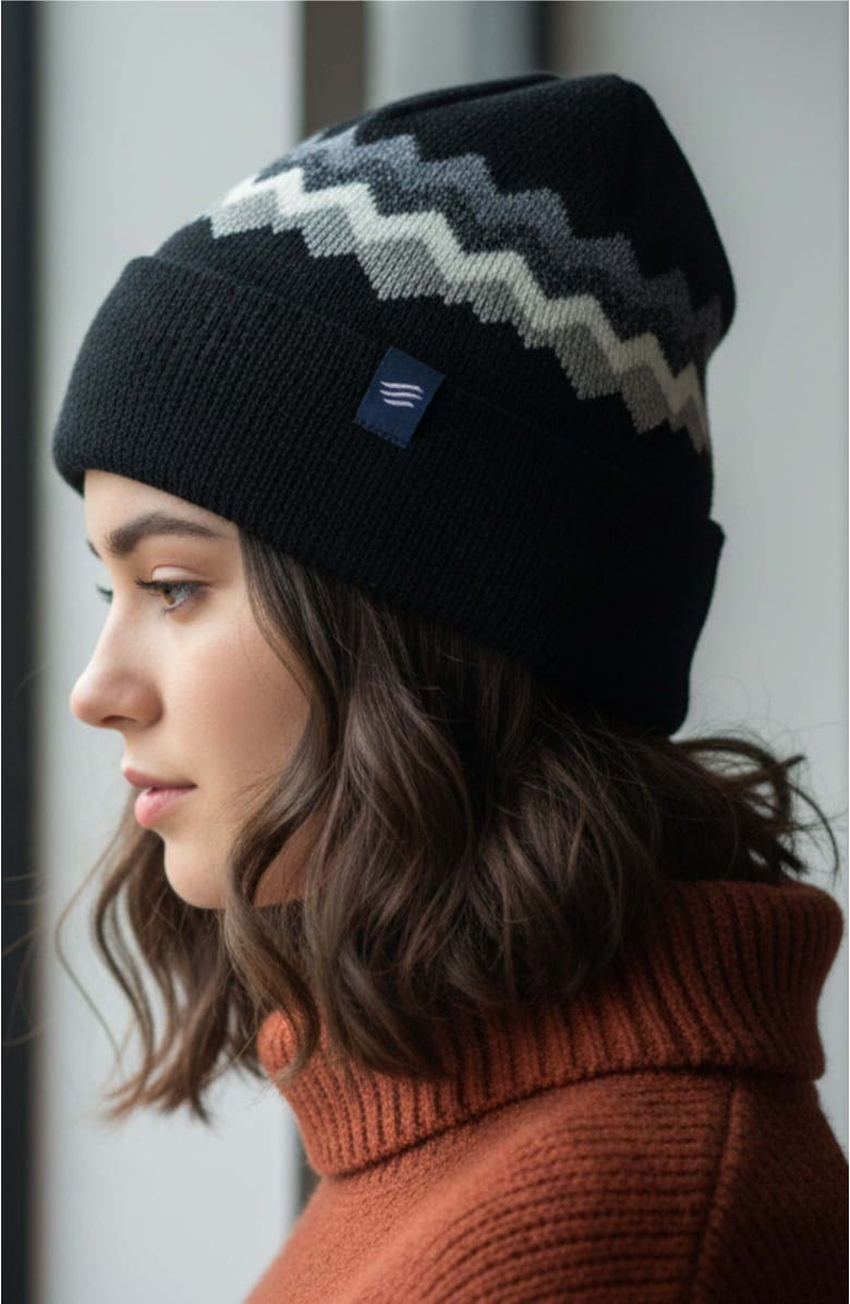United By Blue The Merino Wool Mountain Scape Knit Beanie, Alternate, color, Black