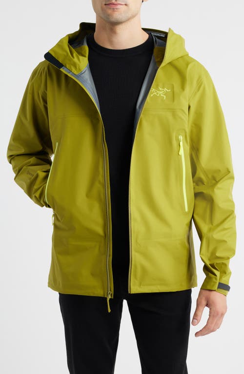 Arc'teryx Beta Sl Hybrid Gore-tex® Hooded Jacket In Green