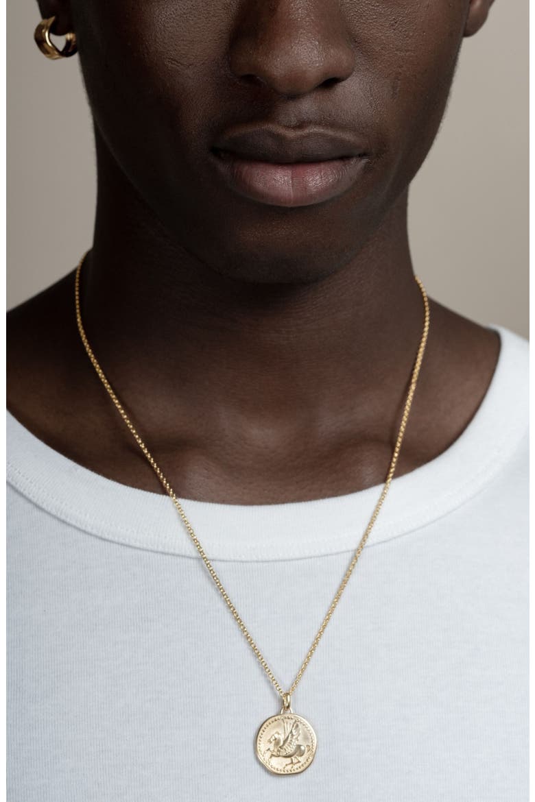 Men's 'Overcome and Thrive' Pegasus Talisman Necklace, Alternate, color, Yellow Gold Vermeil