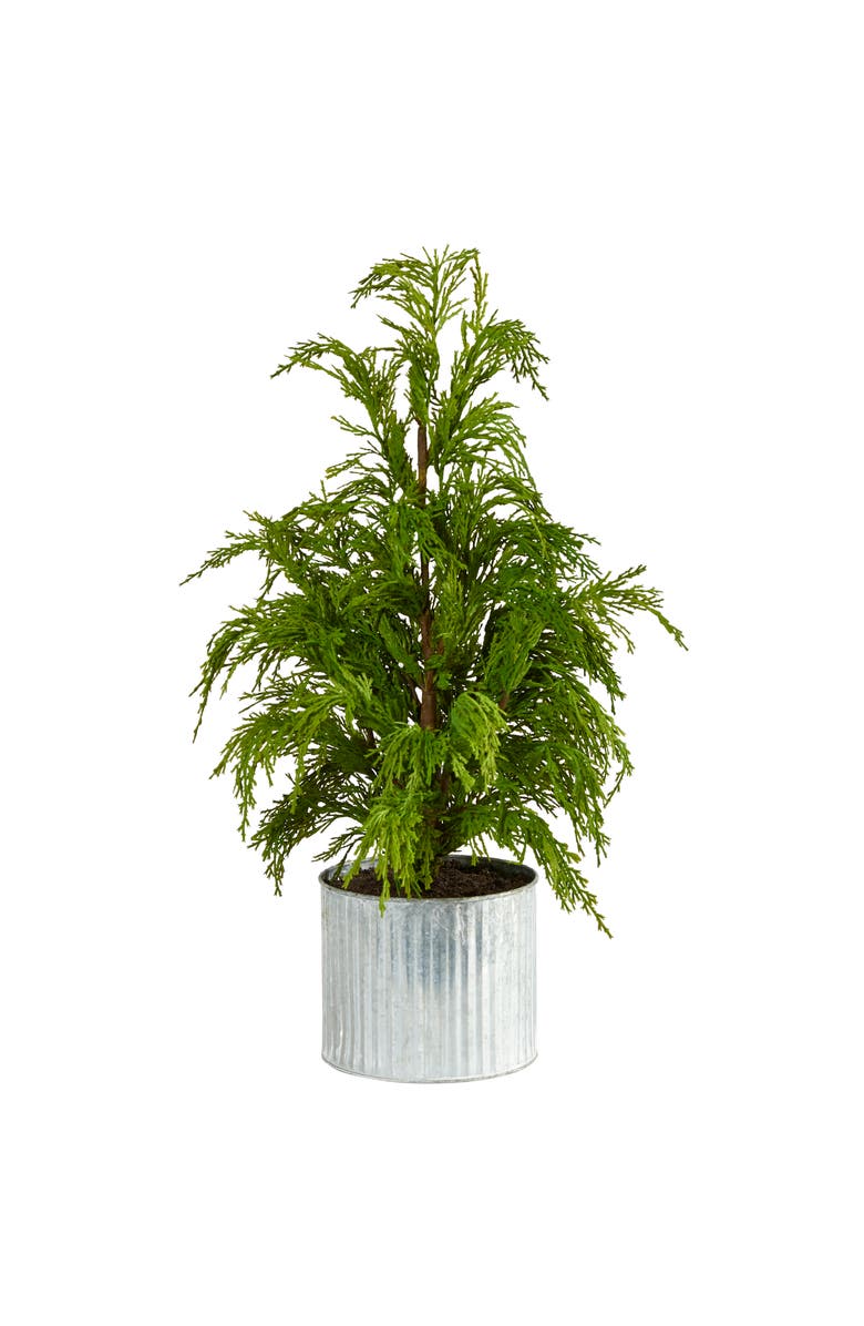 NEARLY NATURAL 20-in Cedar Pine Natural Look Artificial Tree in Decorative Planter, Main, color, Green
