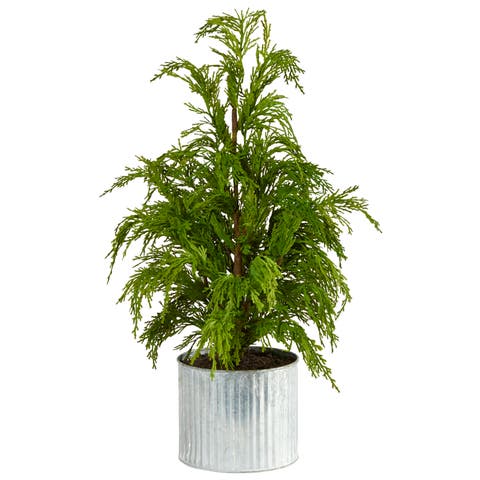 20-in Cedar Pine Natural Look Artificial Tree in Decorative Planter