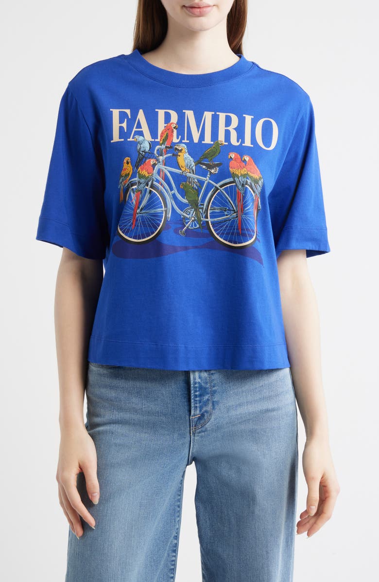 FARM Rio Bike Birds Graphic Boxy T-Shirt, Main, color, 