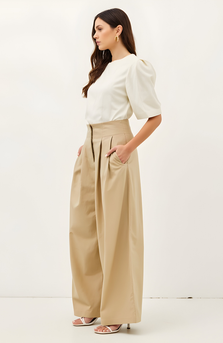 Modenaire Pleated Wide-Leg Trousers, Alternate, color, Beige