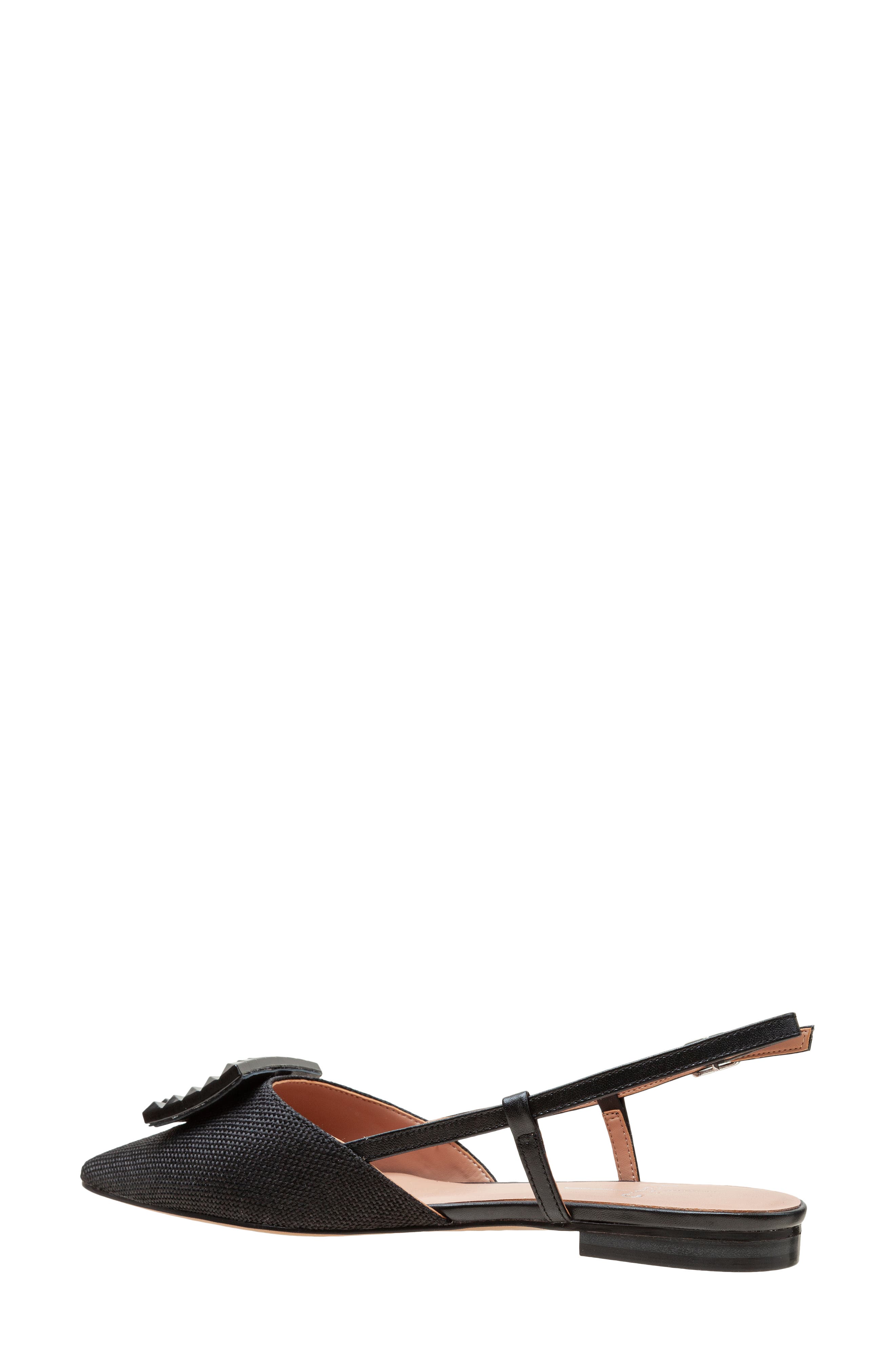 Linea Paolo Carmen Slingback Pointed Toe Flat, Alternate, color, 