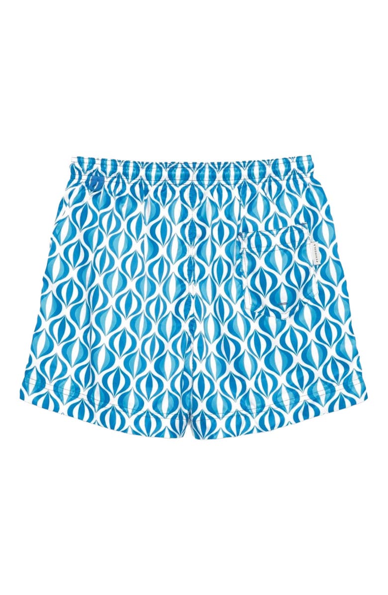 Peninsula Swimwear Cala Cipolla Swim Shorts, Alternate, color, Blue Multicolor