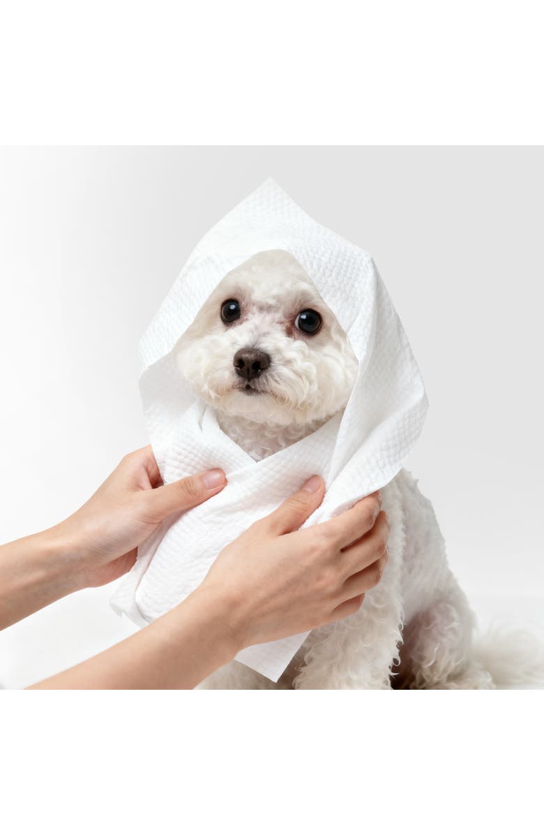 The Licker Store Dog Bath and Grooming Towels - Soft & Ultra-Absorbent, Alternate, color, 20 Count