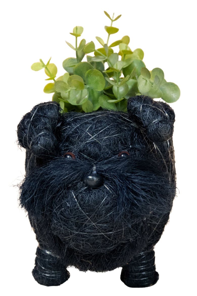 Baby Schnauzer Handwoven Planter, Alternate, color, BLACK