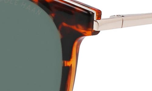 Cole Haan 48mm Oval Sunglasses In Tortoise