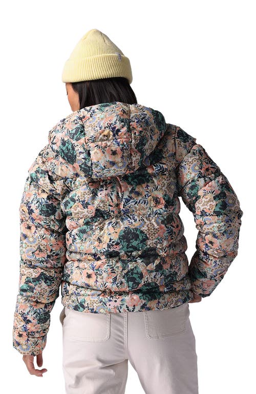 Backcountry Stansbury Allied Down Jacket In Multi