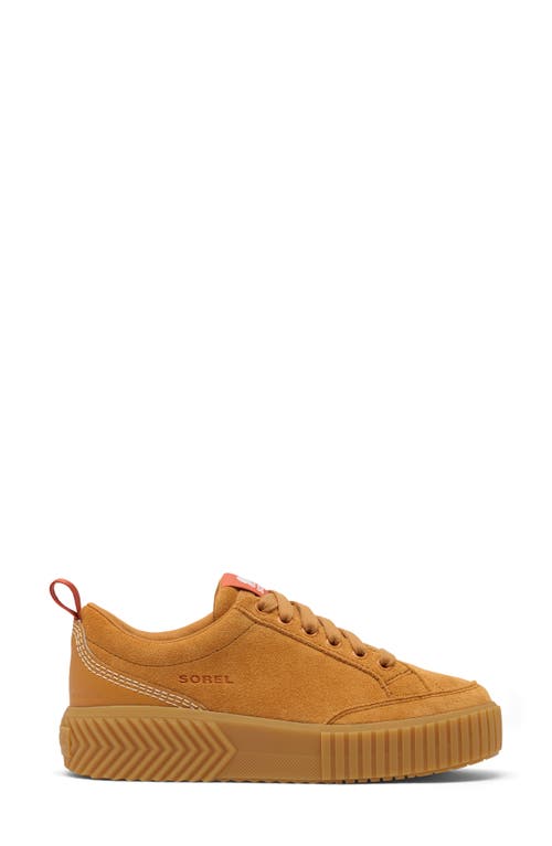 Sorel Ona Ave Waterproof Low Top Sneaker In Canyon Gold/gum