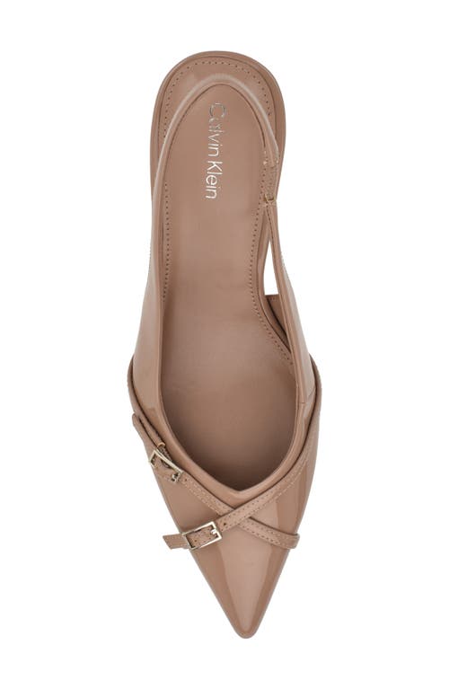 Calvin Klein Tulissa 2 Pointed Toe Slingback Pump