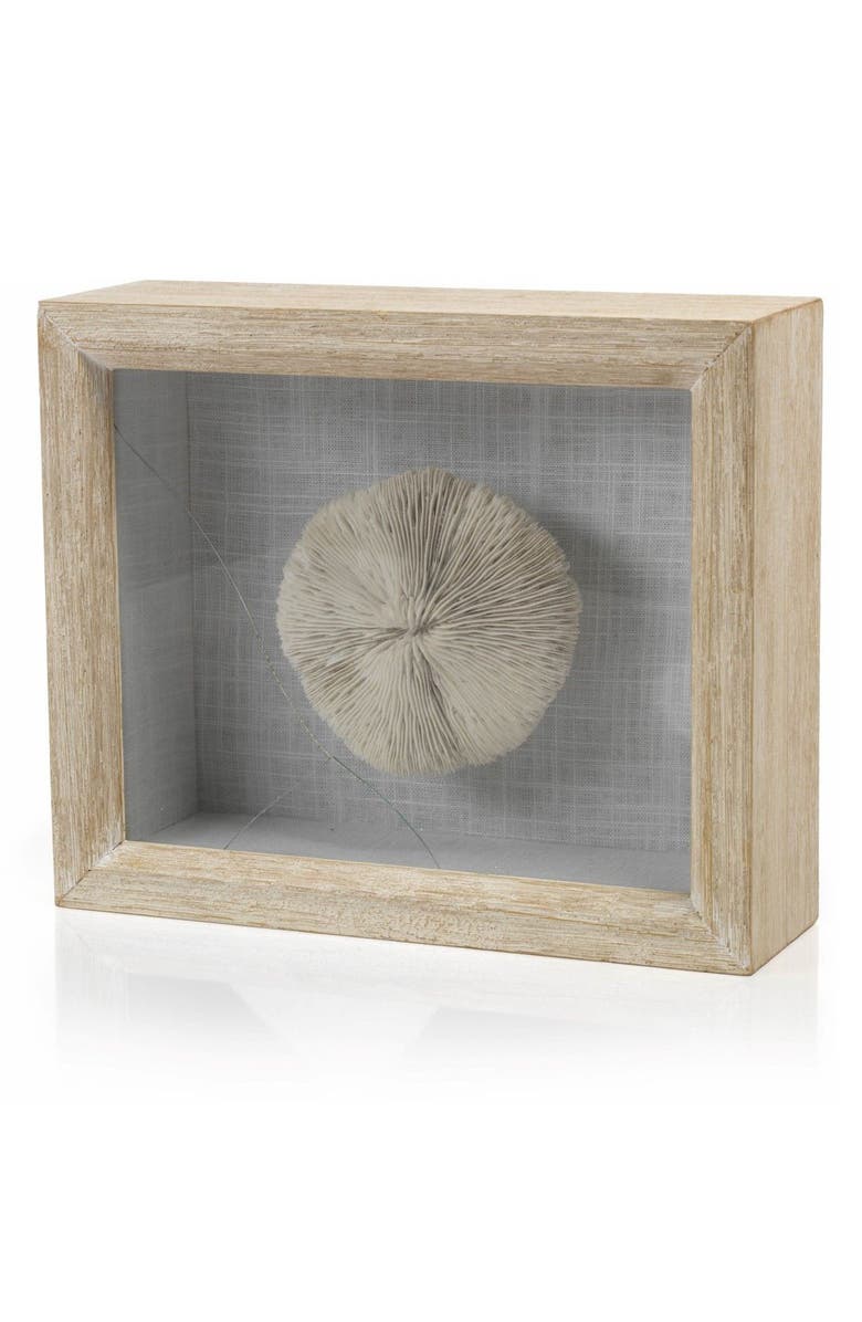 Zodax Mushroom Coral Shadow Box Art, Main, color,