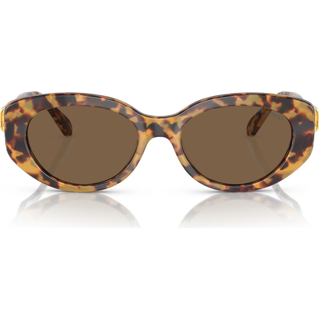 Swarovski 53mm Oval Sunglasses In Lite Havana