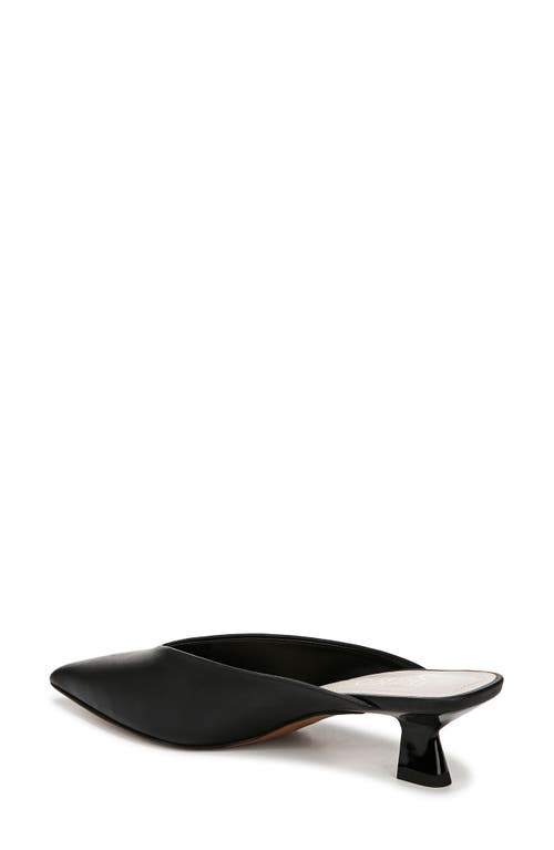 Franco Sarto Jayda Kitten Heel Mule In Black