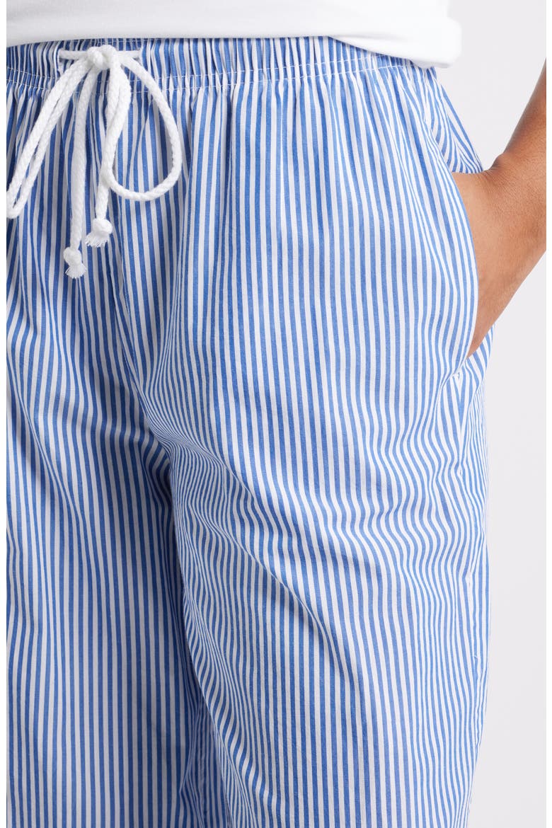 Reed Stripe Cotton Pants, Alternate, color, MAYA BLUE