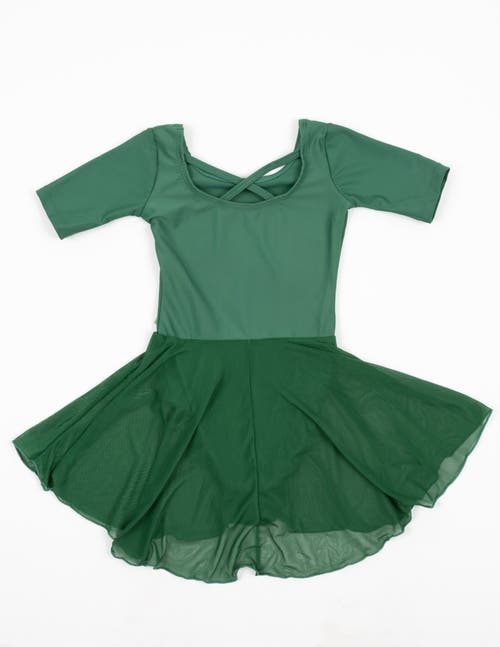 Leveret Girls Short Sleeve Skirted Leotard In Green