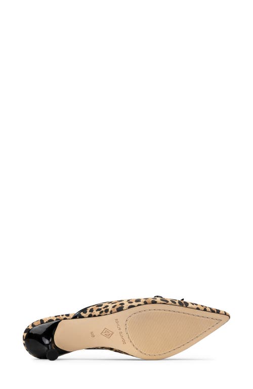 Donald Pliner Soel Kitten Heel Mule